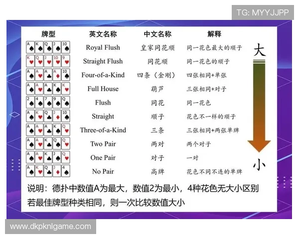 德州扑克app登录失败的原因分析与解决方案详解指南